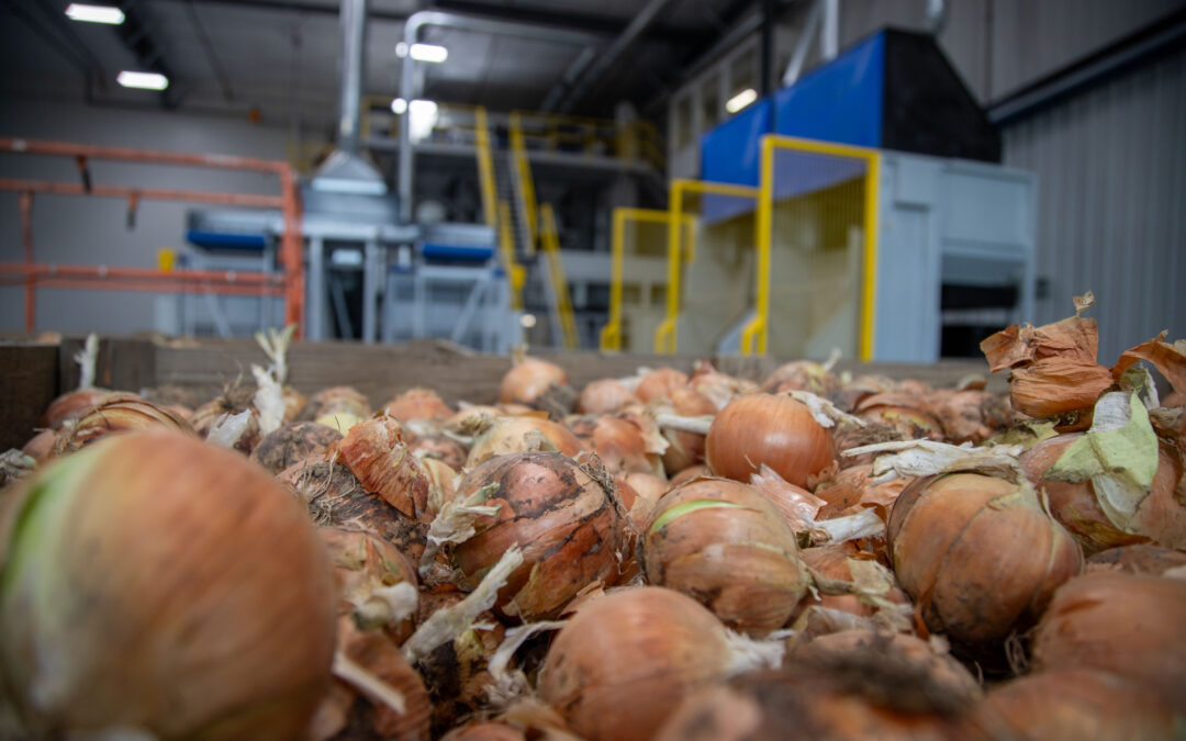 AGRESERVES TREASURE VALLEY FARMS – Weiser, ID