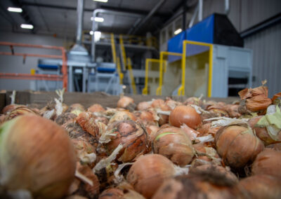 AGRESERVES TREASURE VALLEY FARMS – Weiser, ID